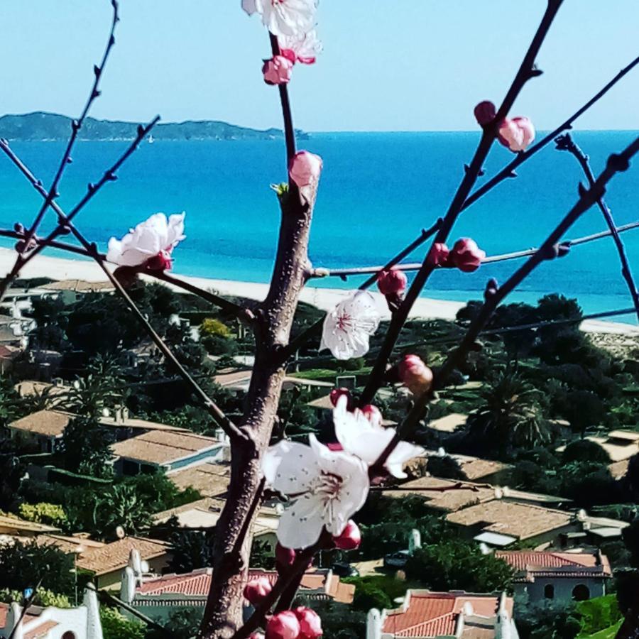 Villa La Terrazza Sull'Alba Costa Rei Esterno foto